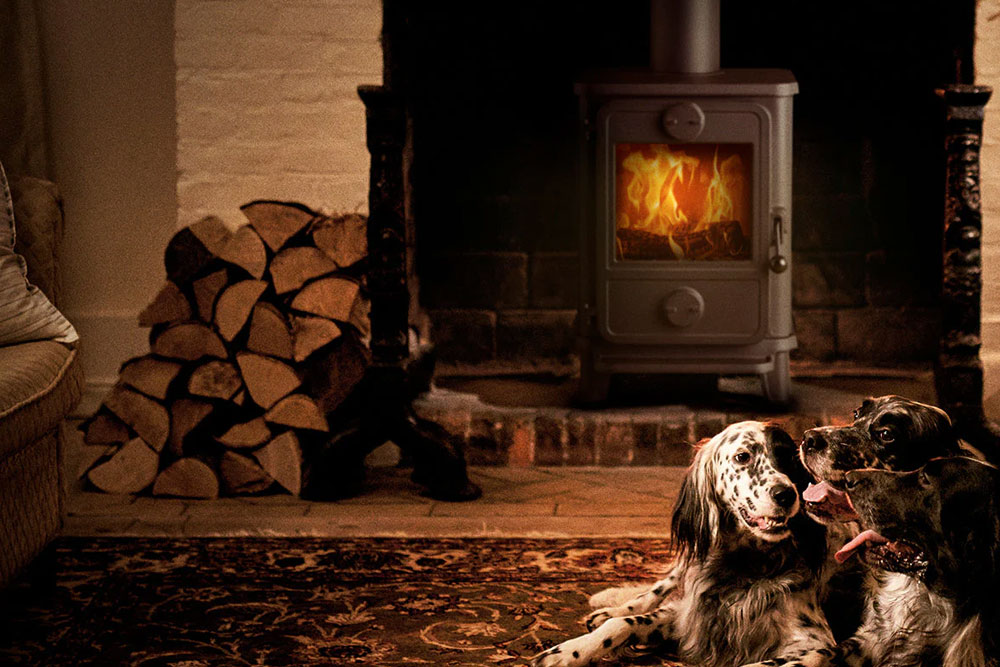 homemds-wood-burning-stove